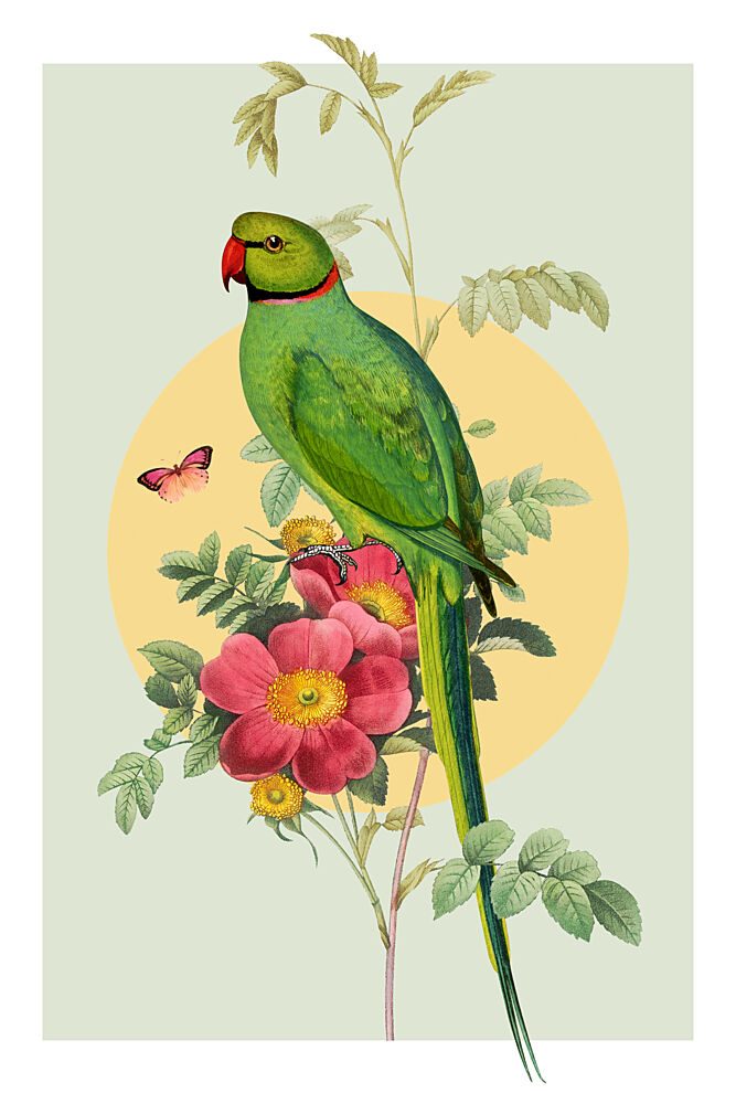 Green Parrot Rose art print by Marja van den Hurk for $57.95 CAD