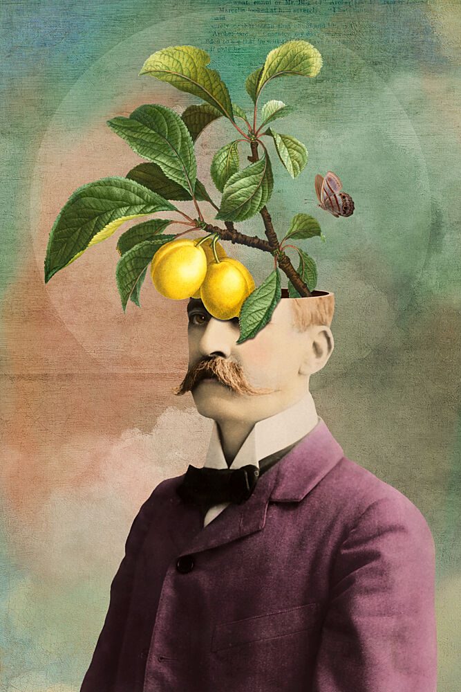 The Fruiting Mind art print by Marja van den Hurk for $57.95 CAD