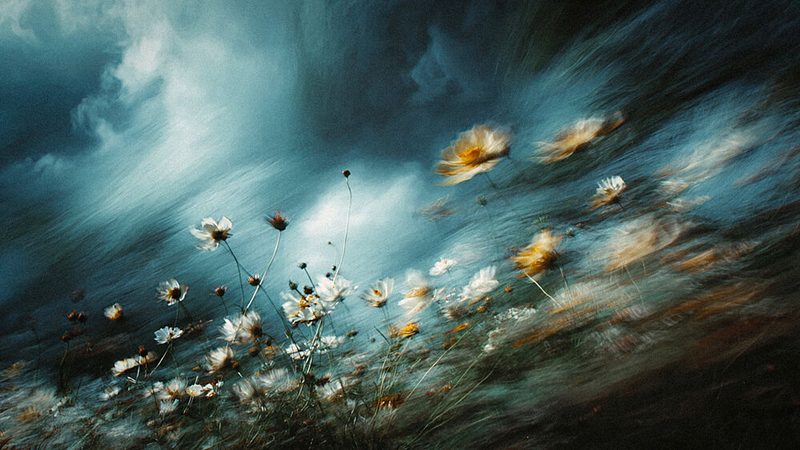 Stormy Wildflowers art print by Erkan Camlilar for $57.95 CAD