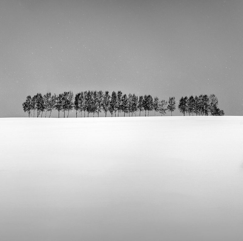 Snowy Horizon Trees art print by Jana Luo for $57.95 CAD