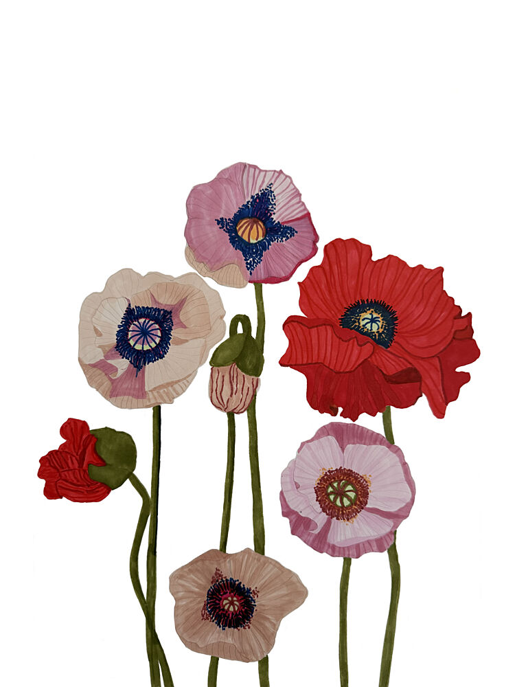 Colorful Poppy Blooms art print by Carola Cedell for $57.95 CAD