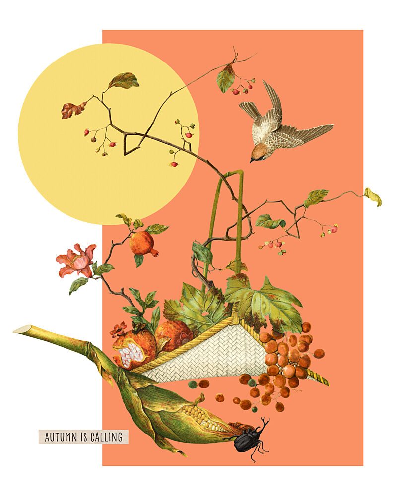 Autumn Bird and Harvest art print by Marja van den Hurk for $57.95 CAD