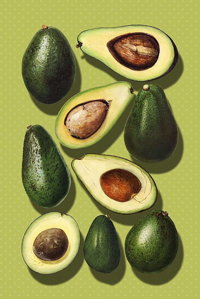 Vibrant Avocados art print by Marja van den Hurk for $57.95 CAD