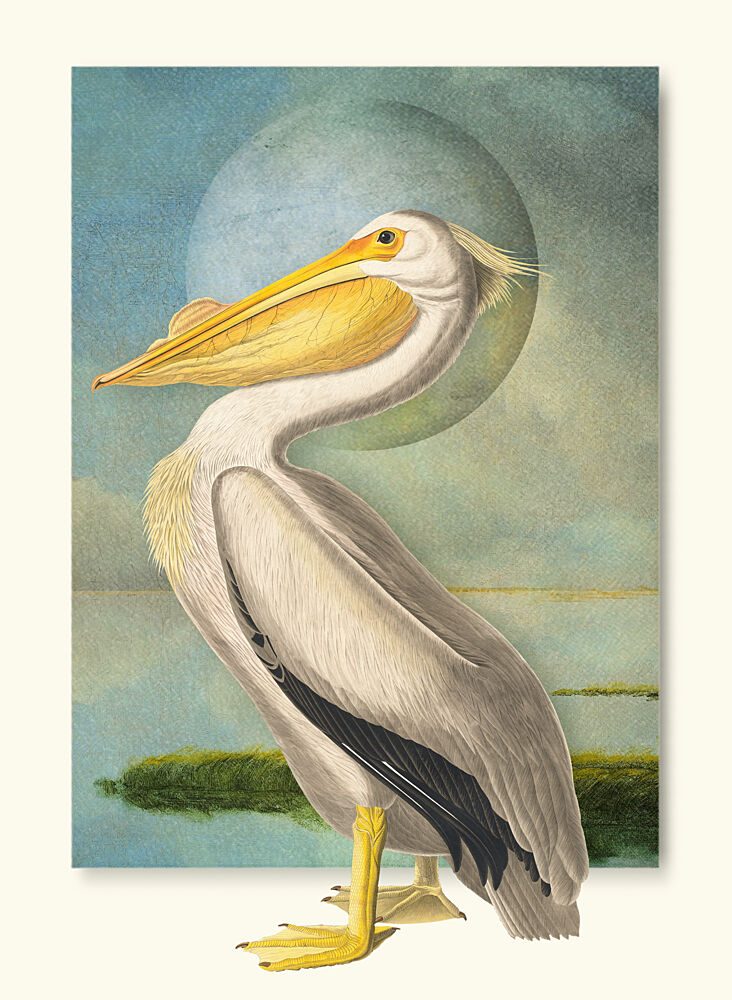 White Pelican Moonscape art print by Marja van den Hurk for $57.95 CAD