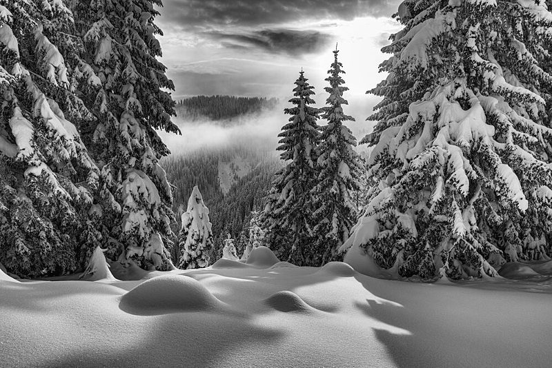 Snowy Mountain Forest Light art print by Ales Klabus for $57.95 CAD