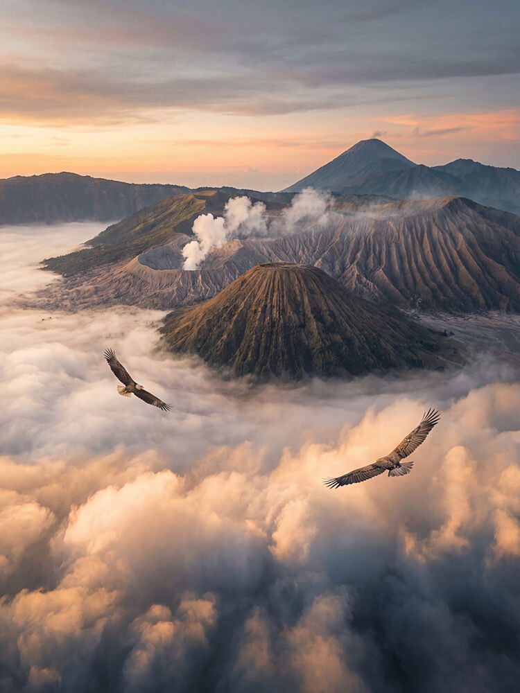Volcano Peak Eagles art print by Andreas Magnusson for $57.95 CAD