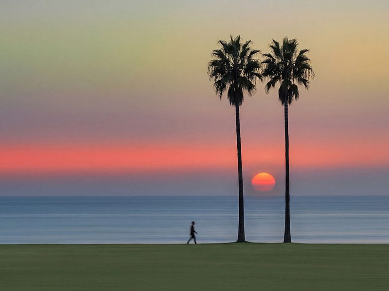Vibrant Sunset Palms art print by Andreas Magnusson for $57.95 CAD
