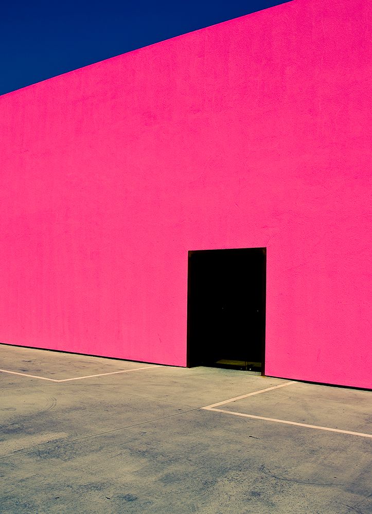 Shocking Pink Wall art print by David Jordan Williams for $57.95 CAD
