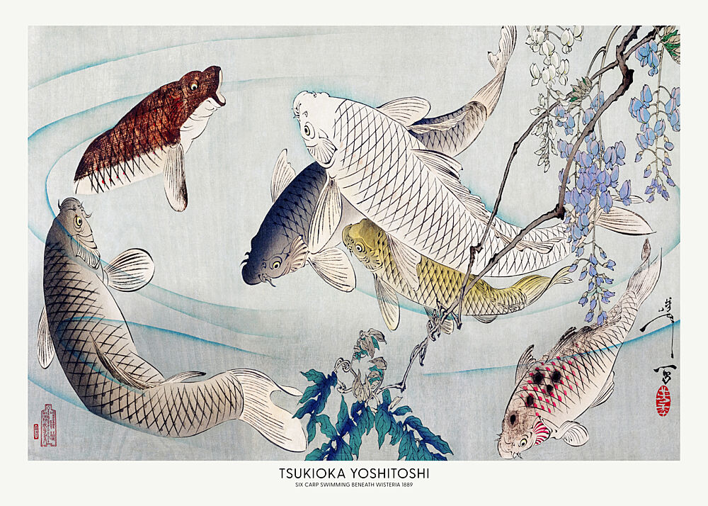 Six Carp Swimming Beneath Wisteria 1889 art print by Tsukioka Yoshitoshi for $57.95 CAD