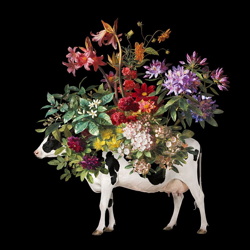 Vibrant Floral Cow art print by Marja van den Hurk for $57.95 CAD