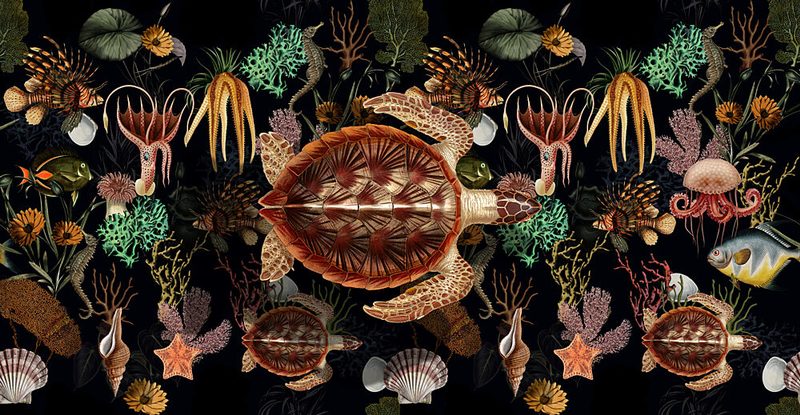 Vintage Ocean Creatures art print by Marja van den Hurk for $57.95 CAD