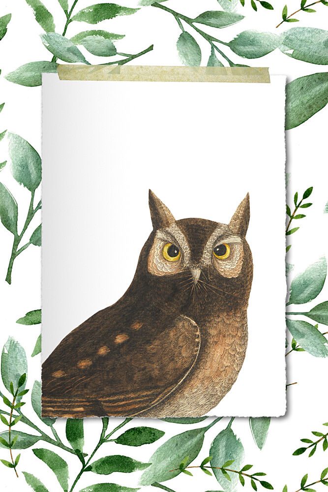 Wise Woodland Owl art print by Marja van den Hurk for $57.95 CAD