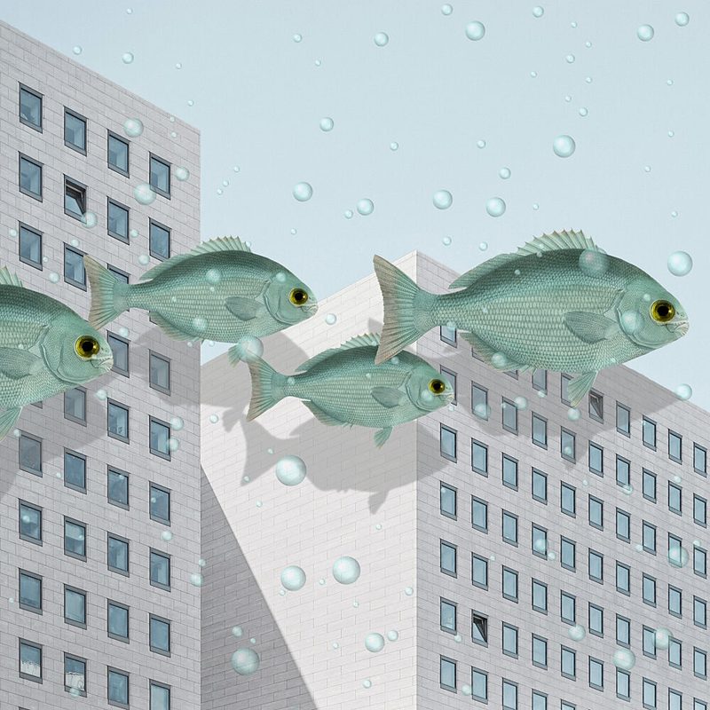 Urban Fish Dream art print by Marja van den Hurk for $57.95 CAD