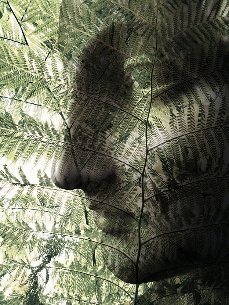 Botanical Face Profile art print by Angelo Cerantola for $57.95 CAD
