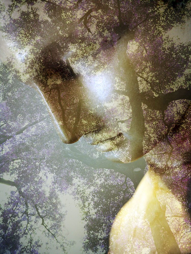Ethereal Forest Profile art print by Angelo Cerantola for $57.95 CAD