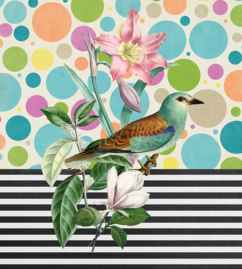 Colorful Bird and Botanicals art print by Marja van den Hurk for $57.95 CAD