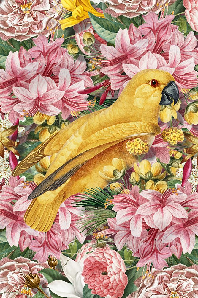 Yellow Parrot Tropical Flowers art print by Marja van den Hurk for $57.95 CAD