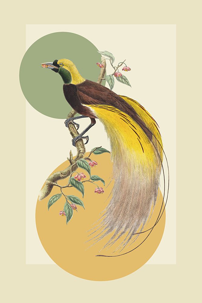 Exotic Paradise Bird art print by Marja van den Hurk for $57.95 CAD