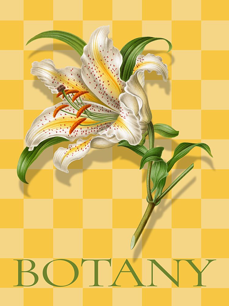Spotted Lily Botanical art print by Marja van den Hurk for $57.95 CAD