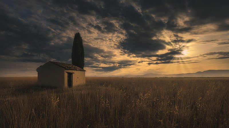 Lone House Golden Field art print by Paco Jimenez for $57.95 CAD