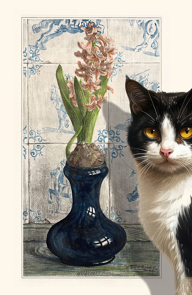 Curious Cat and Hyacinth art print by Marja van den Hurk for $57.95 CAD