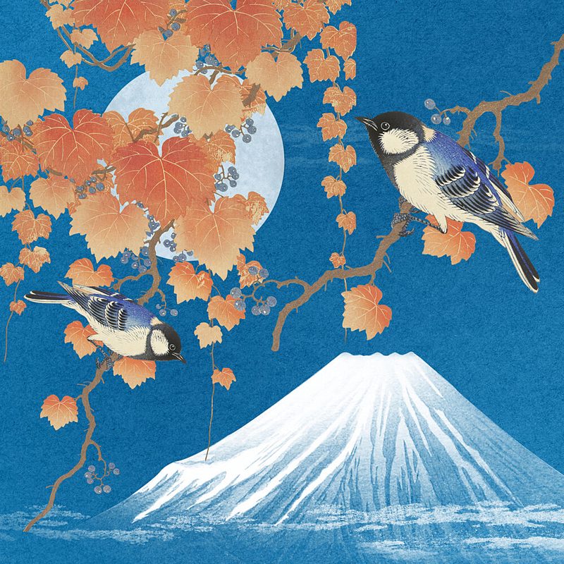 Moonlit Fuji Birds art print by Marja van den Hurk for $57.95 CAD