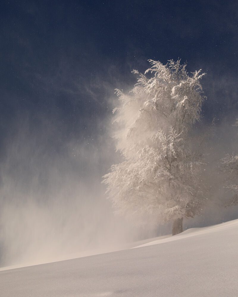 Winter Tree Blizzard art print by Lazar Ioan Ovidiu for $57.95 CAD