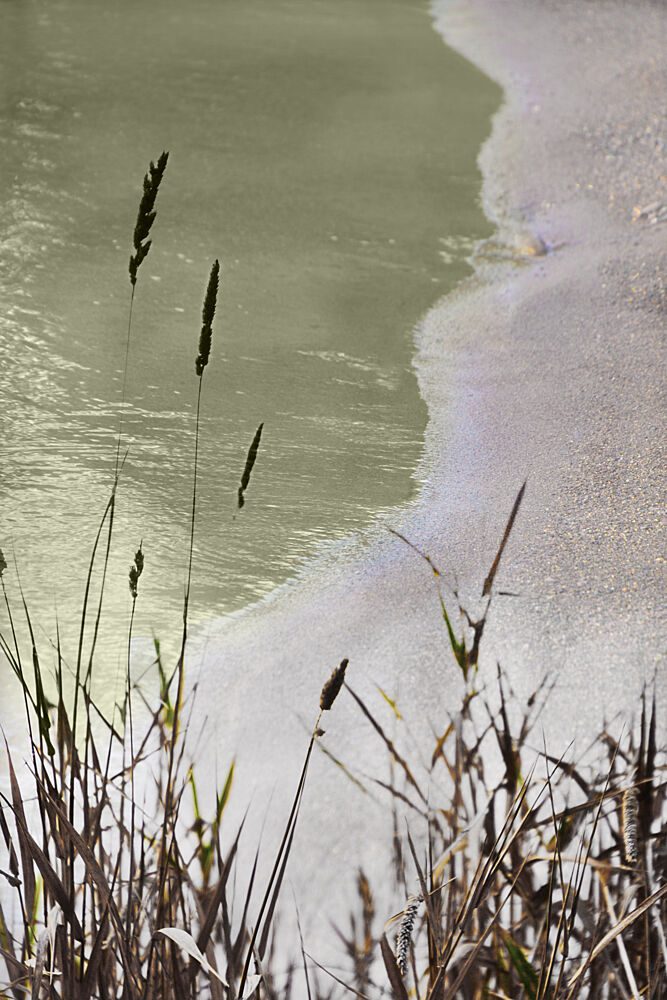 Tranquil Shoreline Grass art print by Christina Sillen for $57.95 CAD