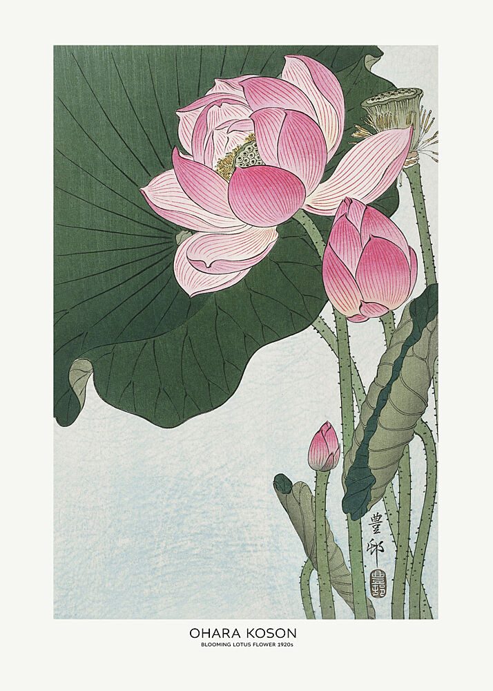 Blooming Lotus Flowers art print by Ohara Koson for $57.95 CAD
