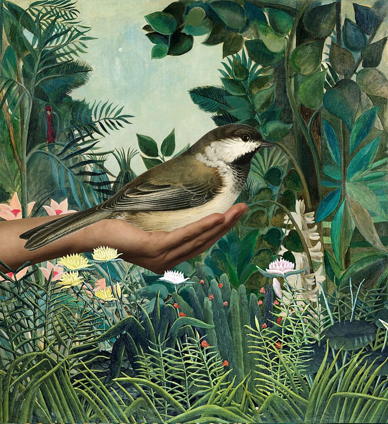 Bird in Serene Jungle art print by Marja van den Hurk for $57.95 CAD