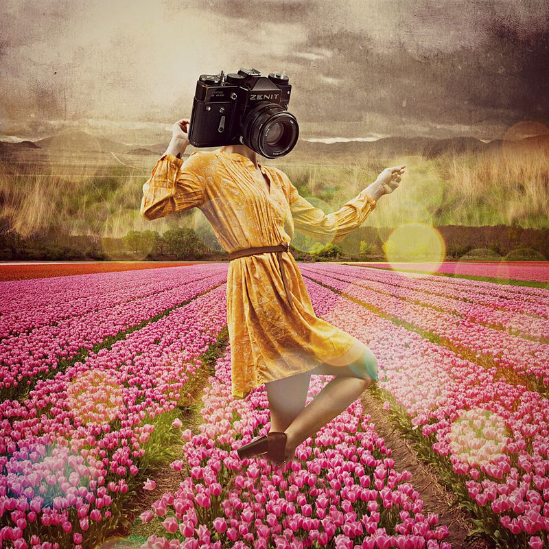 Camera Head in Tulips art print by Marja van den Hurk for $57.95 CAD
