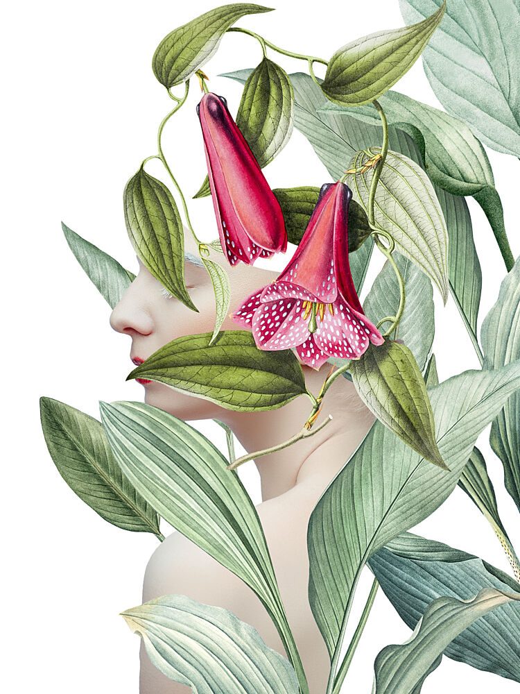 Serene Botanical Profile art print by Marja van den Hurk for $57.95 CAD