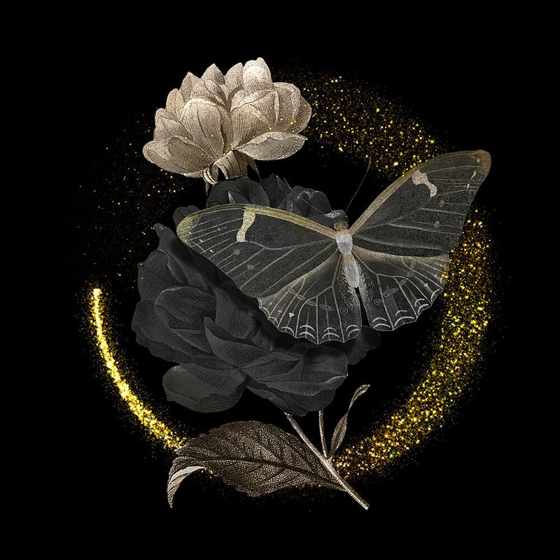 Sparkling Dark Rose Butterfly art print by Marja van den Hurk for $57.95 CAD