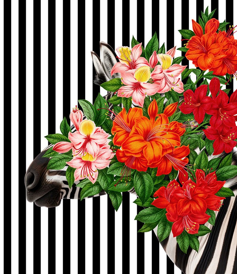 Tropical Zebra Bloom art print by Marja van den Hurk for $57.95 CAD