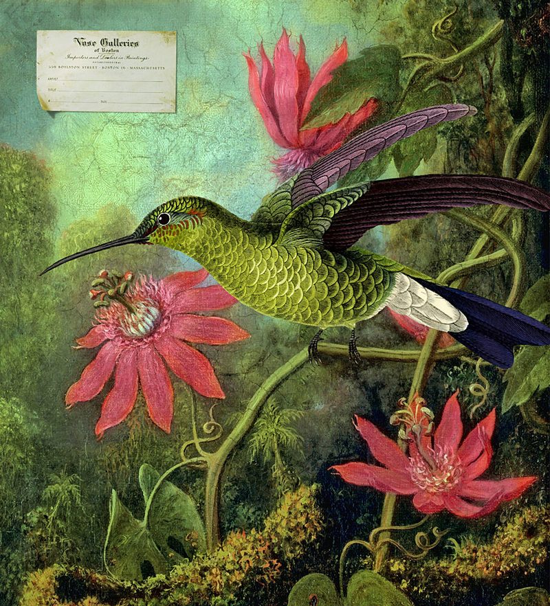 Vibrant Hummingbird Tropics art print by Marja van den Hurk for $57.95 CAD