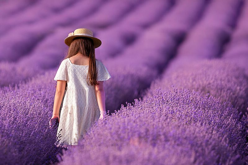 Girl in Lavender Field art print by Florin Ungureanu for $57.95 CAD
