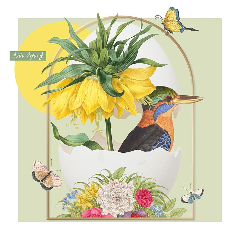 Kingfisher Spring Bloom art print by Marja van den Hurk for $57.95 CAD