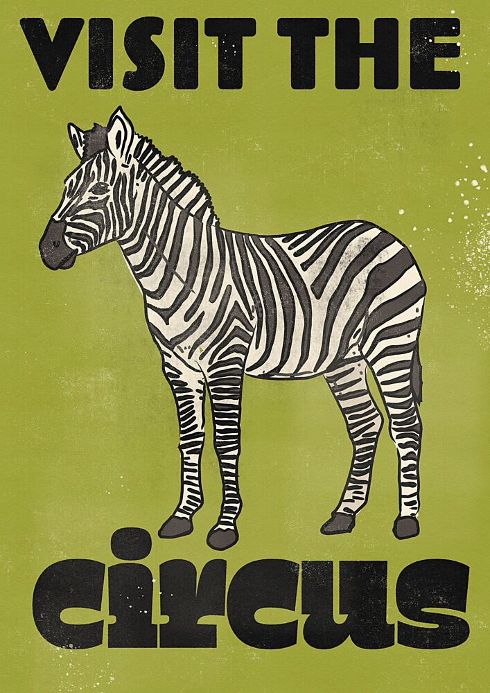 Vintage Circus Zebra art print by Nicholas for $57.95 CAD