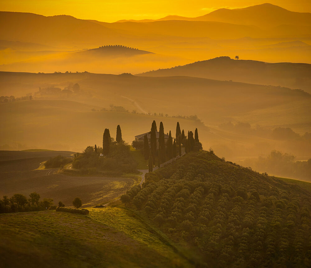Golden Tuscan Morning art print by Liz Fang for $57.95 CAD