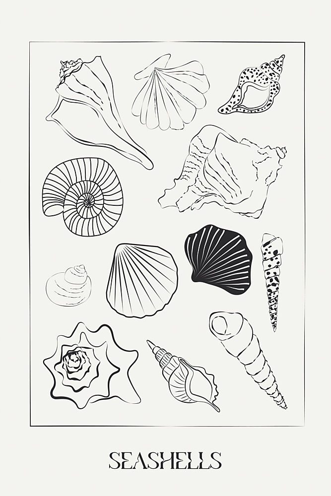 Seashellsno02 art print by Treechild for $57.95 CAD