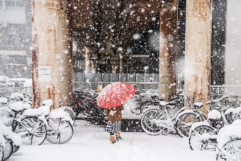 Solitary Red Umbrella art print by Mizo for $57.95 CAD