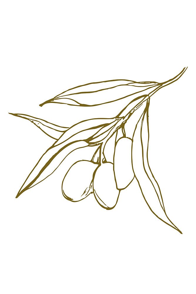 Olivebranchno02 art print by Treechild for $57.95 CAD