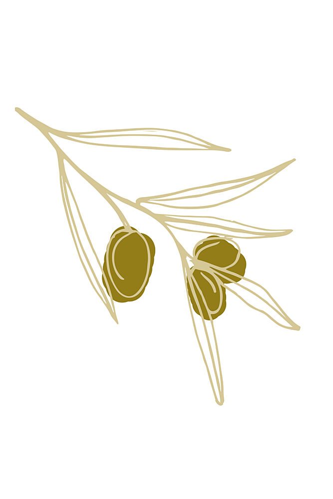 Olivebranchno03 art print by Treechild for $57.95 CAD