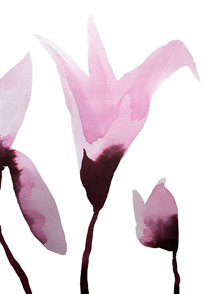 Pink Watercolor Blossoms art print by Carola Cedell for $57.95 CAD