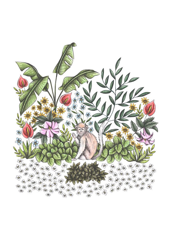 Vibrant Jungle Monkey art print by Cecilia Battaini for $57.95 CAD