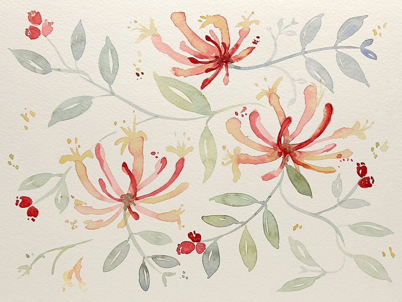 Delicate Watercolor Botanicals art print by Natalie Bruns for $57.95 CAD