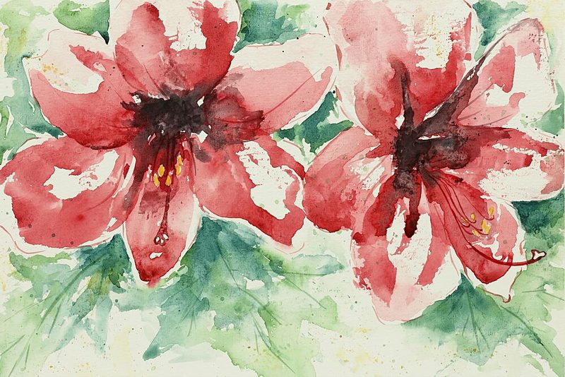 Vibrant Red Flowers art print by Natalie Bruns for $57.95 CAD
