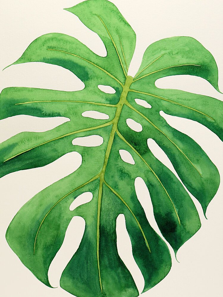 Tropical Monstera Leaf art print by Natalie Bruns for $57.95 CAD