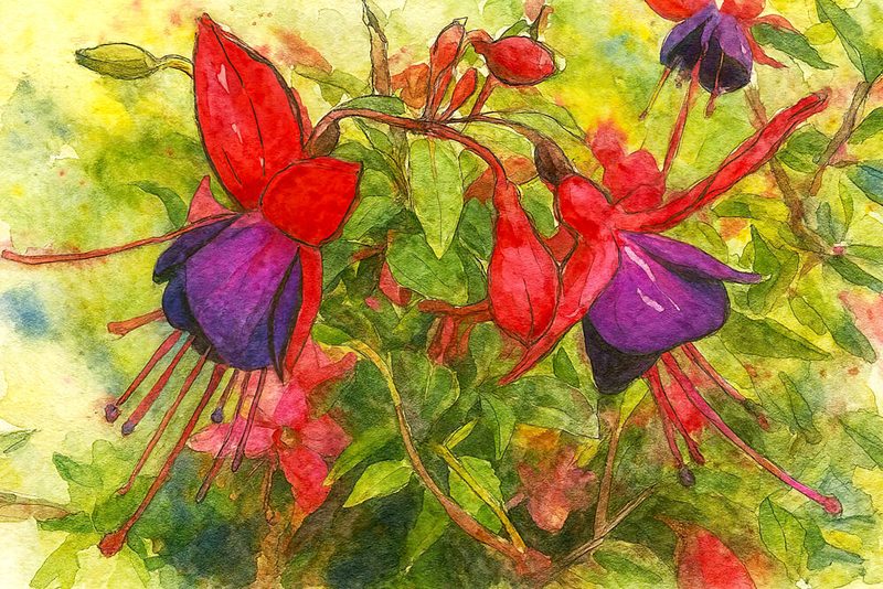 Vibrant Fuchsia Blooms art print by Natalie Bruns for $57.95 CAD