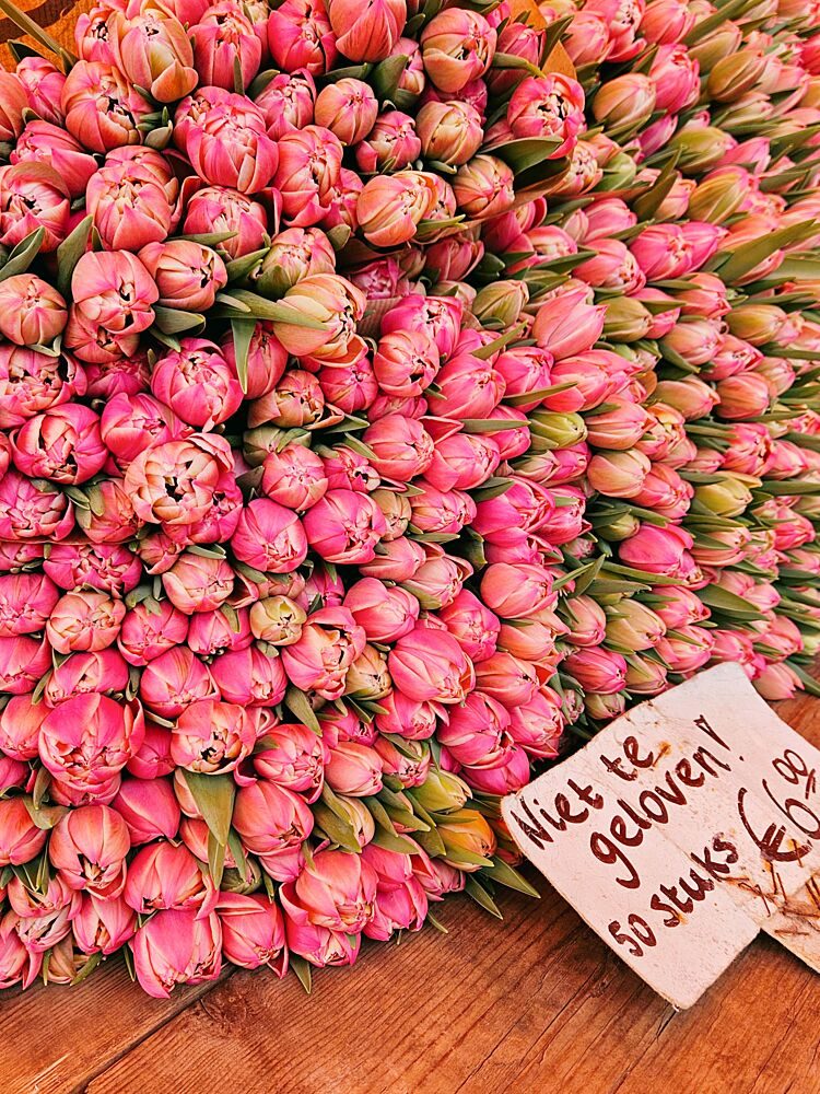 Dutch Tulip Market art print by Ohkimiko for $57.95 CAD